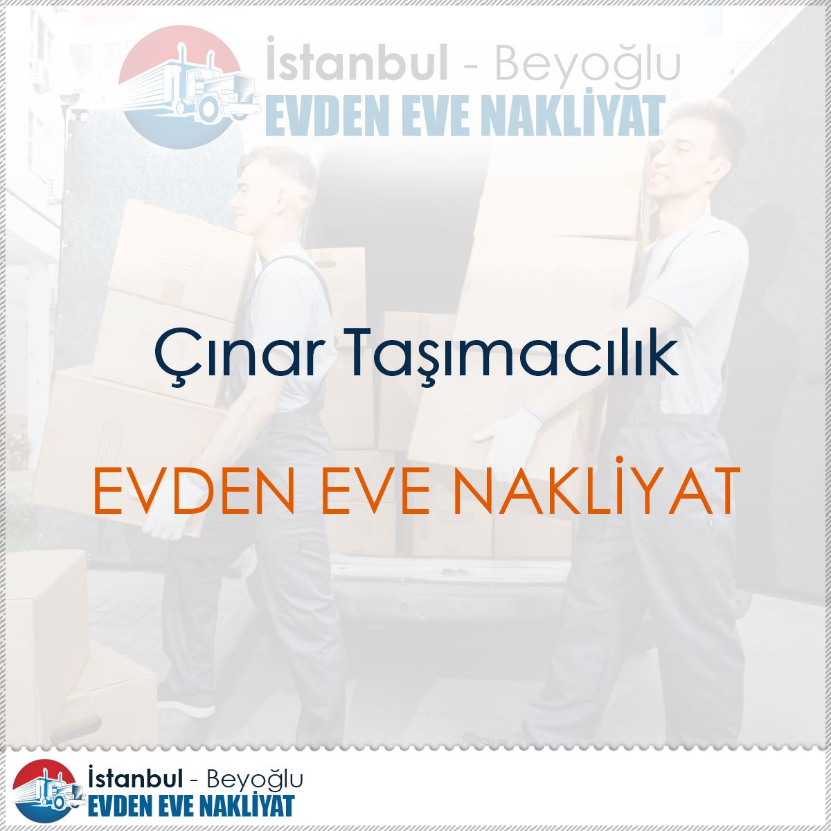 Çınar Taşımacılık : Kapak Görseli